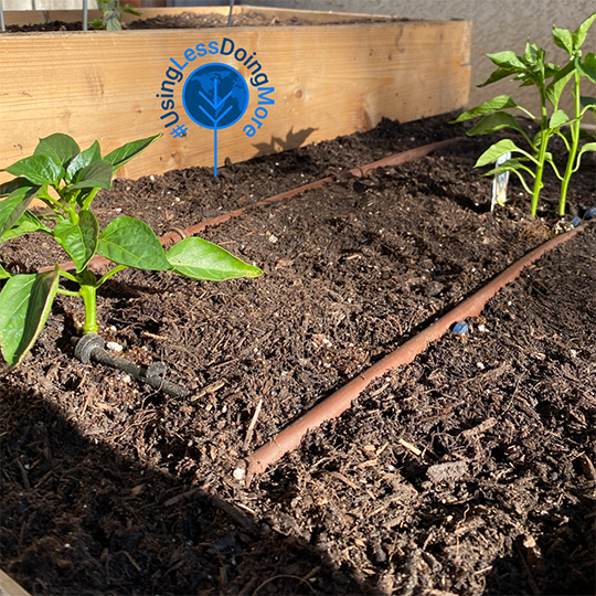 NetafimUSA's tweet image. Netafim has partnered with @onetreeplanted to bring each of our #usingless acts to life in #doingmore for our planet.

What’s one act that you can do today that would use less resources?
🌱 Planting a home garden with drip irrigation and #usingless water is our answer!