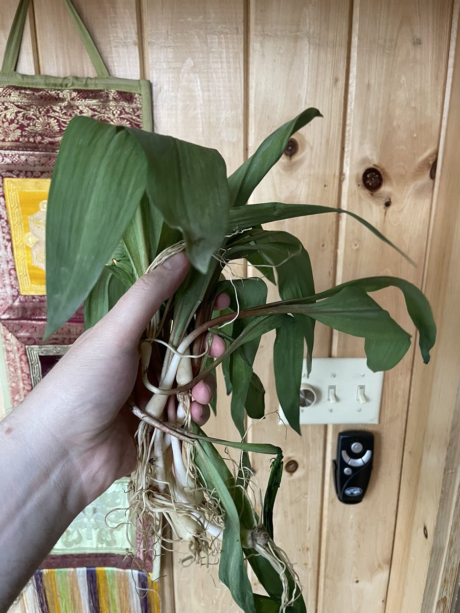 Eat Drink Draw tweet media