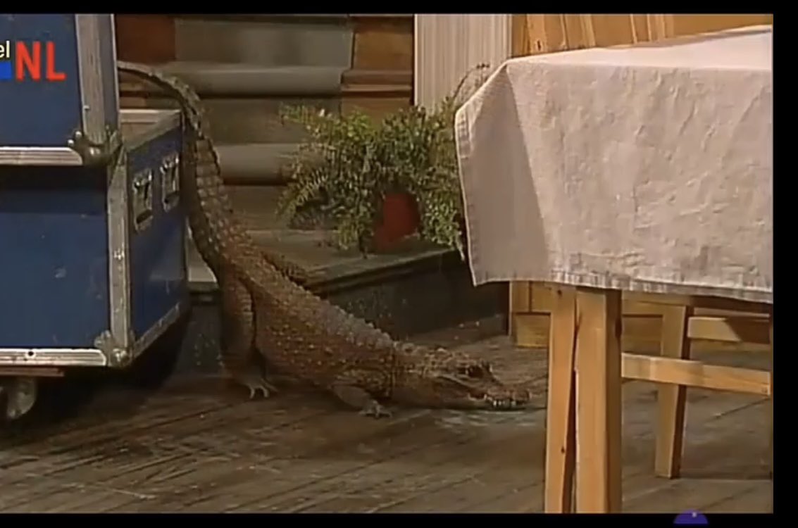 magdezeturkdat's tweet photo. Heb zieke jeugdtrauma’s gehad door deze Samson &amp; Gert aflevering brooo https://t.co/LxeGnPXSau