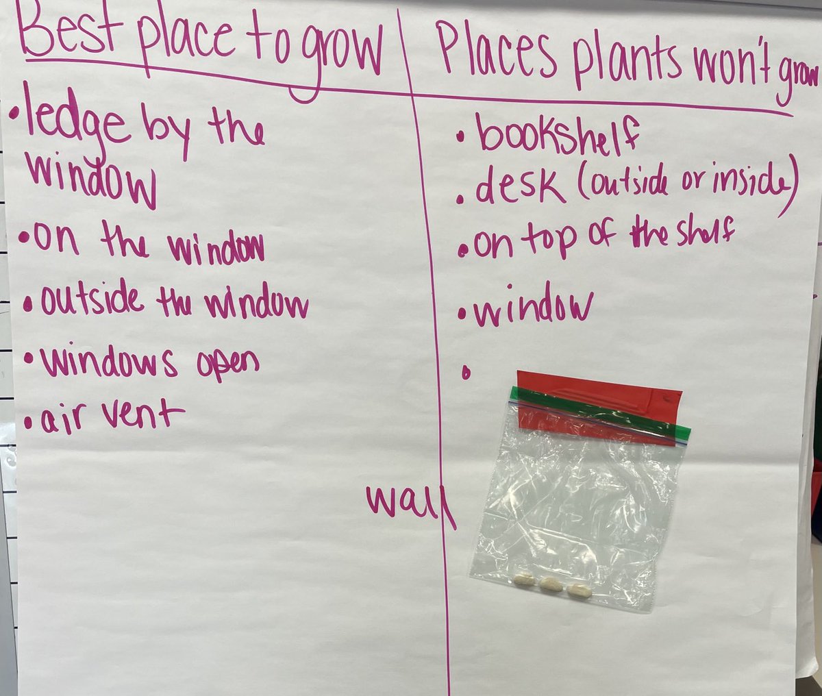3rd_Schwick's tweet photo. Where do you think these beans will grow best?! #teamschwick https://t.co/i4eME0uEeo