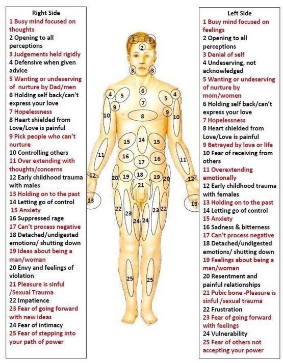 For the first 2 weeks after the cleanse integrates, you will be clearing and shifting energy. Be sure to observe your thoughts, emotions and body for messages of what you’re releasing. Refer to the body chart for clarity on any body sensations/pains