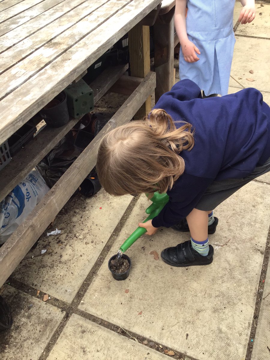 Reception visited our poly tunnel today - we read instructions that told  us how to grow a sunflower.  We will be visiting the poly tunnel to check on our seeds and to water them.#eyfsoutdoors #eyfsphonics #eyfsreading #outdoorlearning #earlyreading #schoolpolytunnel