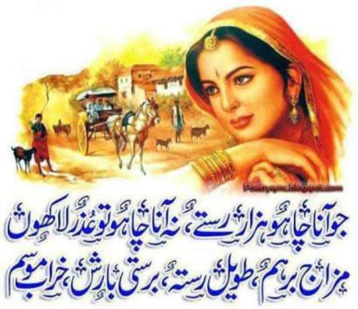 Malik G (@malikg28164100) on Twitter photo 