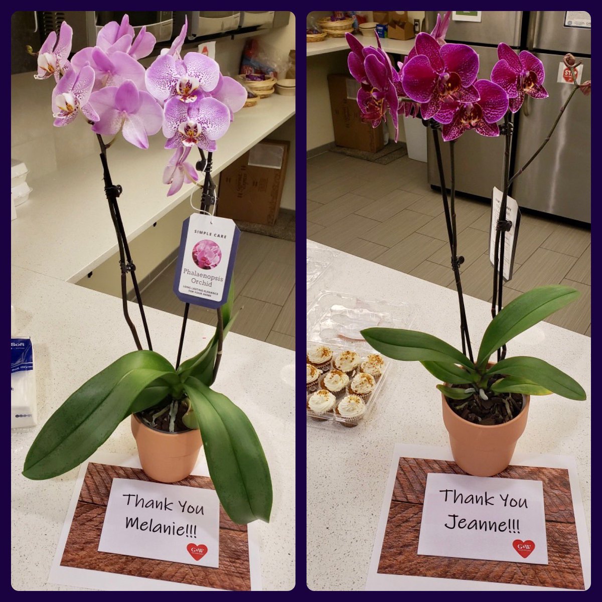 Today we’d like to recognize our administrative staff for all their hard work through out the year! We truly appreciate everything you do for us all everyday! #thankyou #administrativeprofessionalsday #engineering