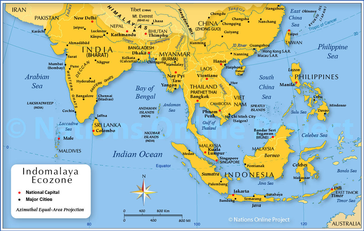 4/ The "Forgotten Armies" are not the British or Indian forces in Burma, or even Arthur Percival's doomed army in Singapore, but the peoples of Burma, India and Malaya who lived, fought and often suffered in the South East Asia Theatre.