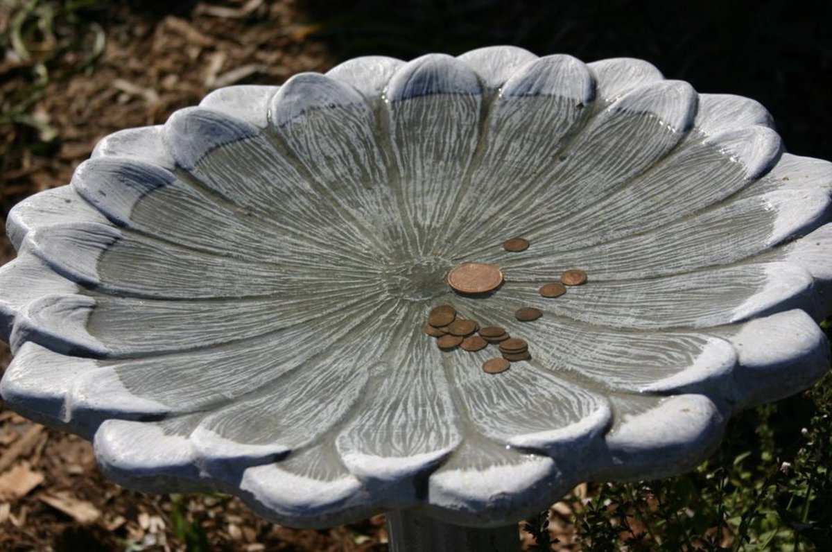 Placing copper rings around the base of certain plants repels snails and other insects. 1800's copper blanks that farmers placed inside animals water troughs to kill algae and bacteria. Place copper penny ( before 1982 is 95% )in birdbath kills algae.