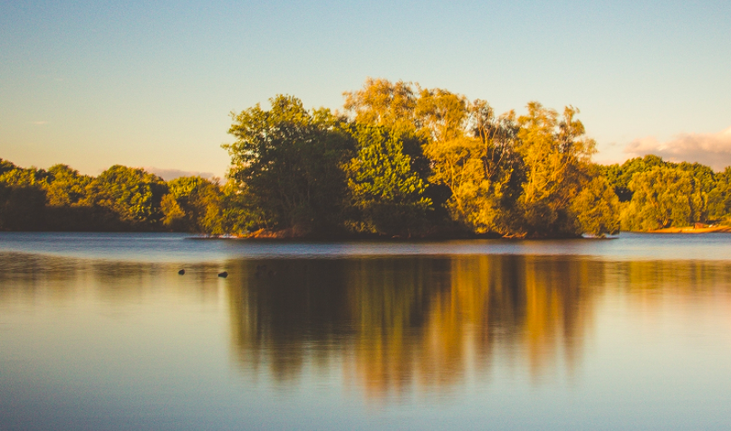 Crow's Theatre tweet media