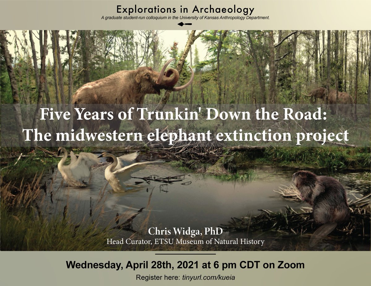GeoarchAndLush's tweet photo. Our final #ExplorationsInArchaeology of the semester is this week!
Join us on Wednesday, April 28th at 6 pm CDT--we'll be learning about the #Midwest #ElephantExtinction Project with @ChrisWidga !
Register here: https://t.co/xHLO9WrJP7
#archaeology #scicomm https://t.co/8RcCo1ocYC