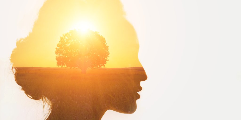 The Avielle Foundation tweet media