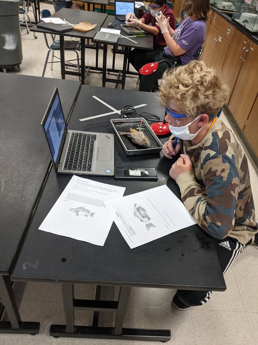 reyes_rambles's tweet photo. I am so impressed with our kids. Virtual students had the option to pair with a student dissecting in class. The teamwork was more than I could have ever imagined. Thankful for my students flexibility & williness to go above & beyond. Proud teacher moment! https://t.co/TZYTNSREBV