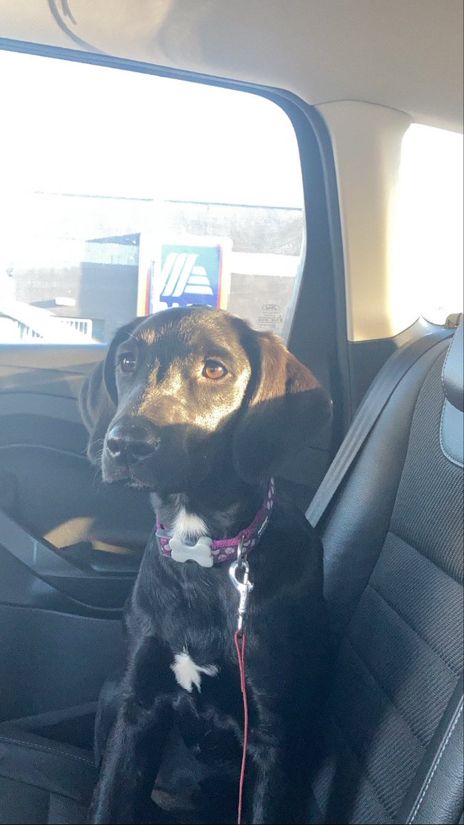 jamesparkin04's tweet image. She supports cuthbert #FreeCuthburt