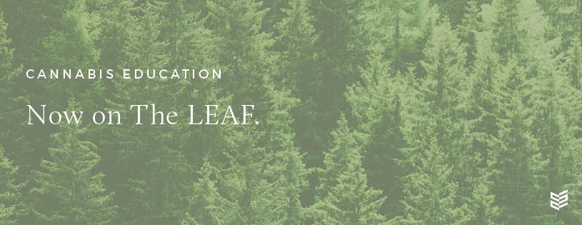 SpiritleafCA's tweet photo. RP! Click the link to read this previous article on The LEAF, https://t.co/geNFuzzcS1. #Spiritleaf #TerpeneTour #Terphead #ElevatedLifestyle #LearningEveryday https://t.co/K0OELfl6IM