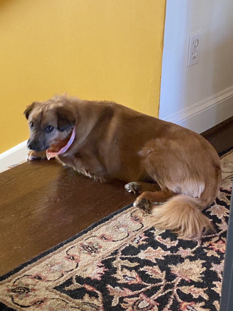 ajohnsocyber's tweet image. Guarding access to the home office. Access will require 2CA - 2 cookie authentication.