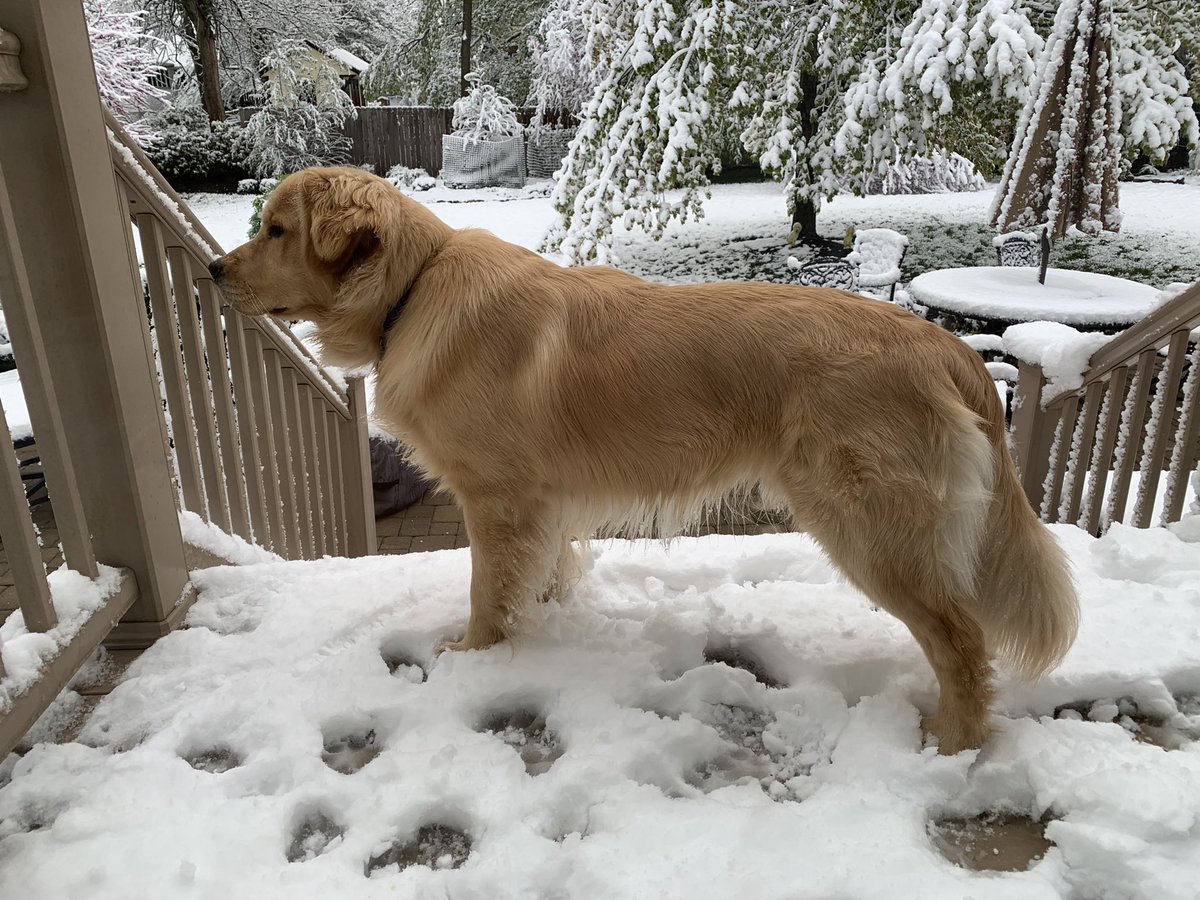LKJennings1975's tweet photo. @Cincywxman @WCPO Perplexed! https://t.co/6Qw1yIv1US