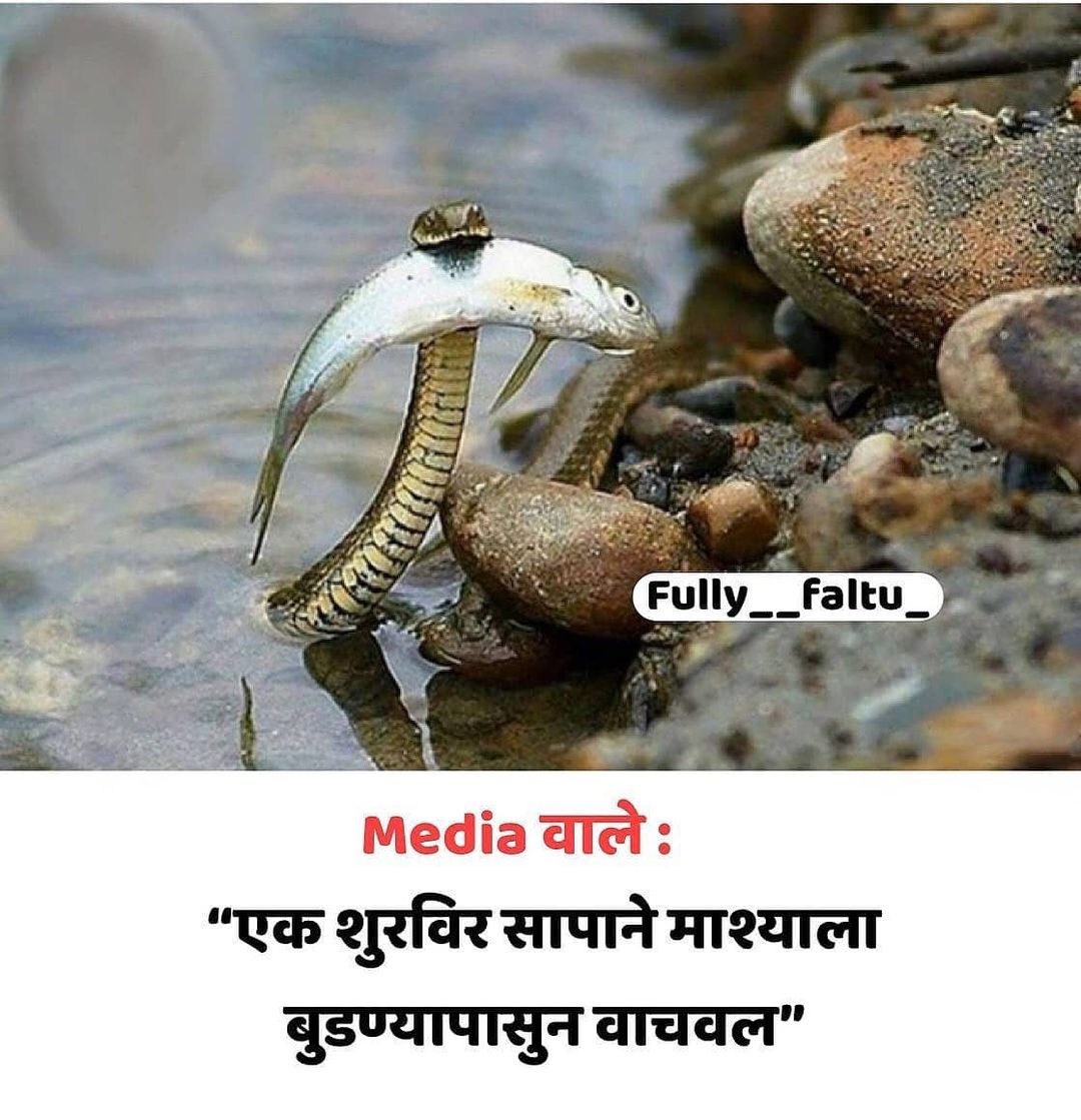 anujpawar96's tweet photo. West Bangal Election Rallies vs 8.30 pm. speech

#Maharashtra #india #MarathiMedia #Marathi #marathipoliticalnews #HindiNews #NEWSUPDATE #ModiCOVIDAddress #CovidIndia #COVID19India #Rallies #Election2021 #COVIDEmergency #COVIDSecondWaveInIndia #coviddeaths #PretendLikeEpochMaker https://t.co/UYie2x6QB4