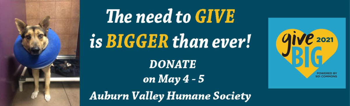 Auburn Valley Humane Society tweet media
