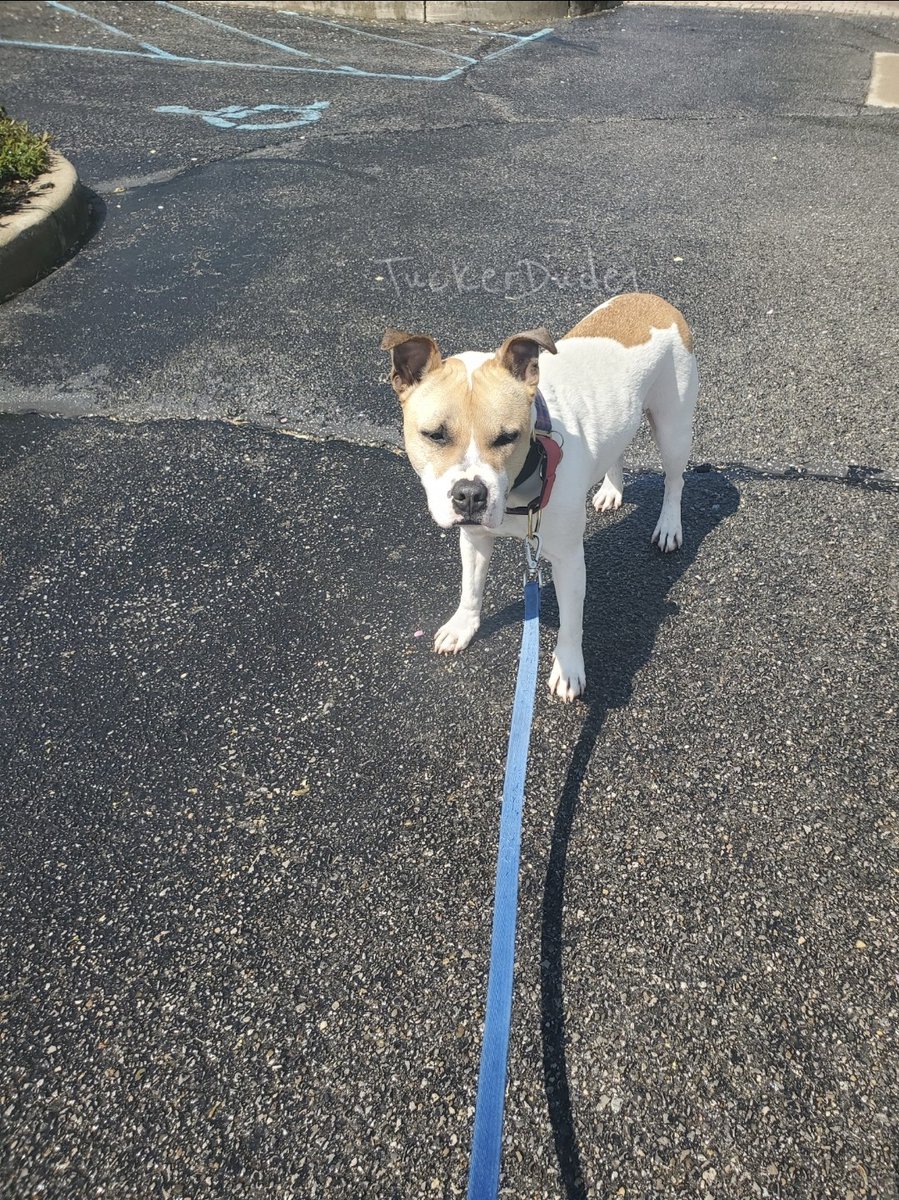 TuckerDude1's tweet image. It was literally snowing 10 minutes ago. #MidwestProblems