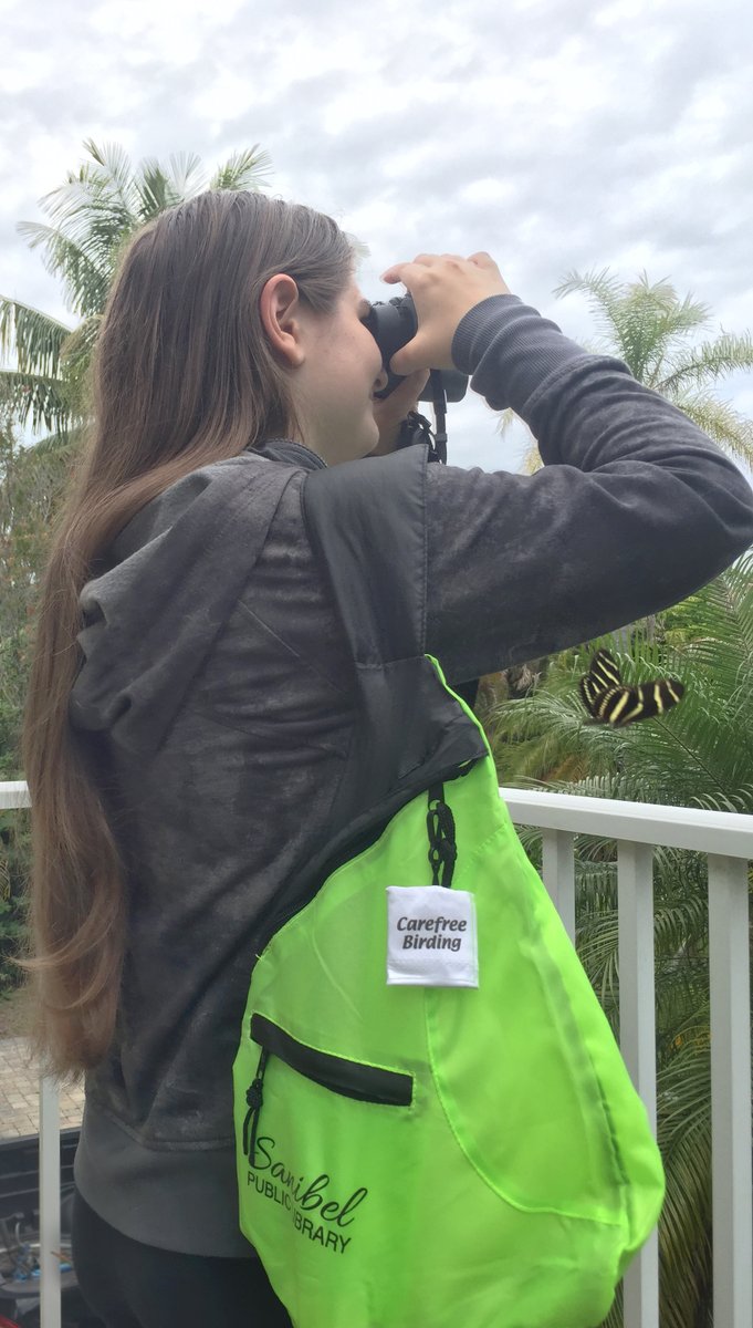 librarysanibel's tweet photo. That time you took pictures of the new #Sanibel Public Library Birdwatching Kit, and was photobombed by a #ZebraLongwing #Butterfly ... https://t.co/MV7YxaZlaD  #LibraryofThings #LibraryLife #BorrowDontBuy https://t.co/z1OAHdUcHr