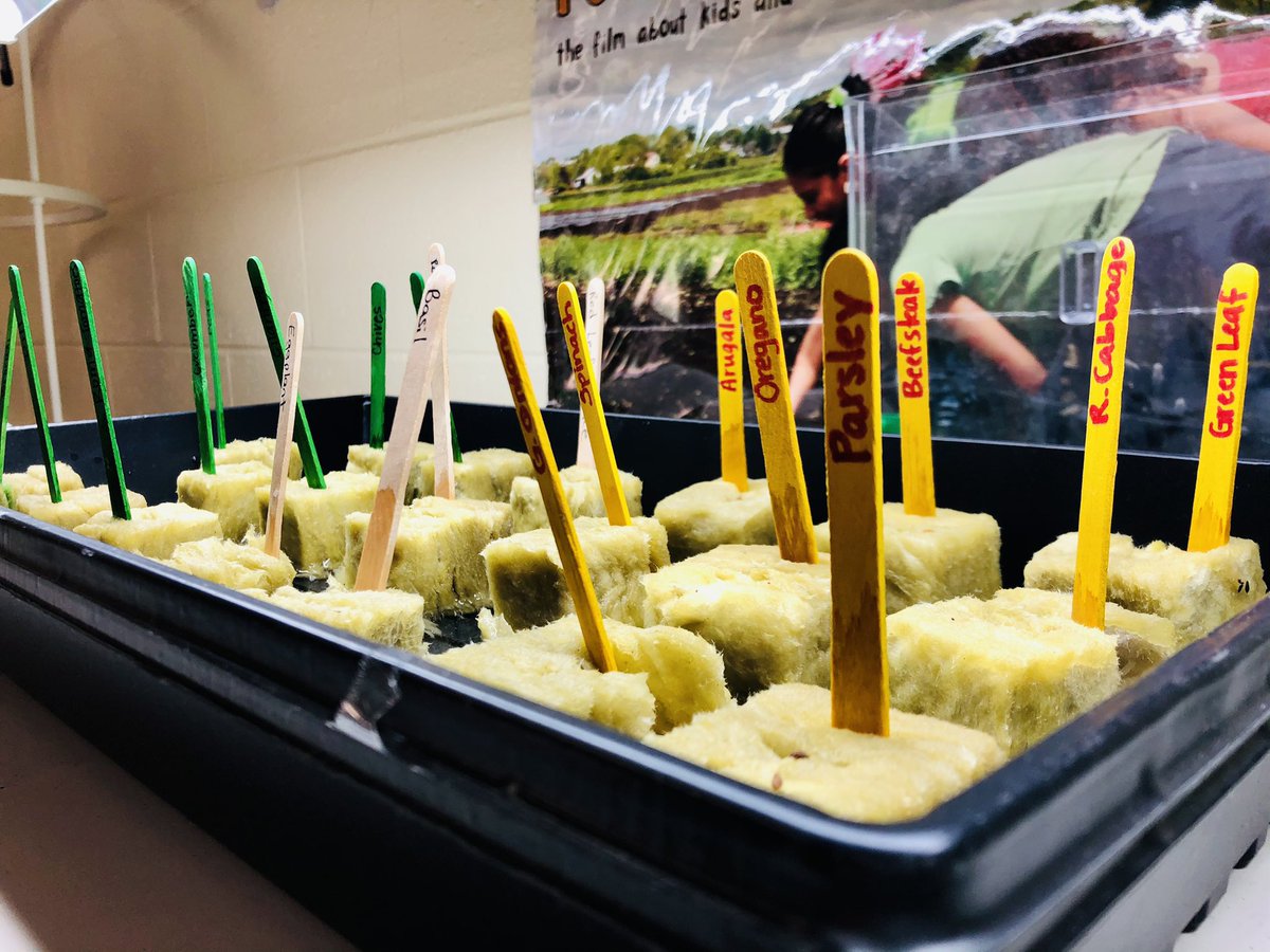 🅼🆁🆂 🅴🅻🅳🅴🆁 tweet media