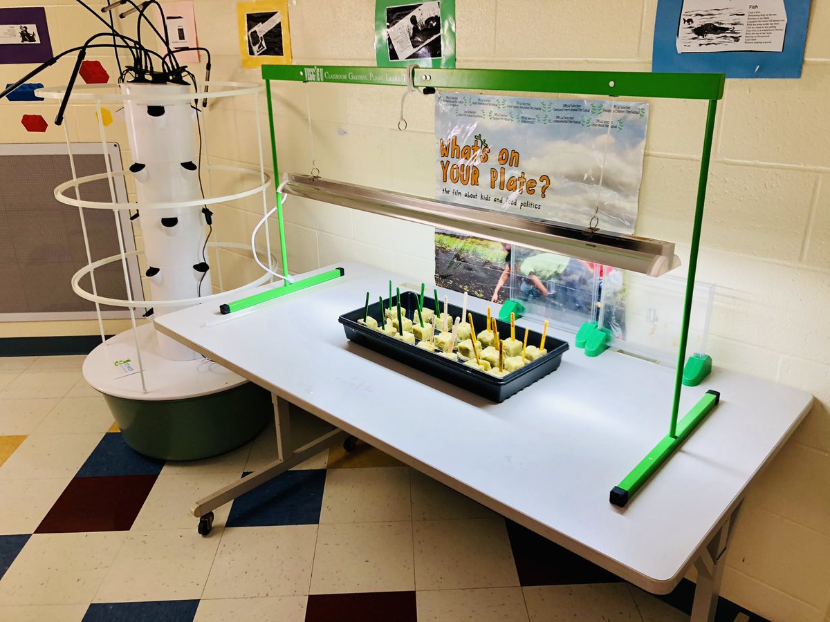 🅼🆁🆂 🅴🅻🅳🅴🆁 tweet media