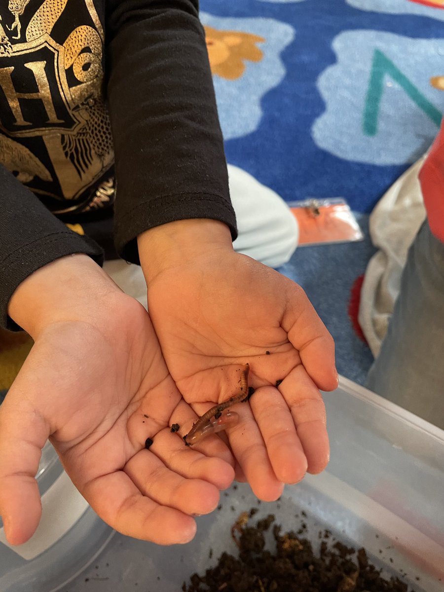 Pre-K students reading about earth worms and getting hands on experience. #APSisBack <a href="/Kenneth_Zone2/">Kenneth salazar</a> @Zone2Assoc8 <a href="/ABQschools/">Albuquerque Public Schools</a>