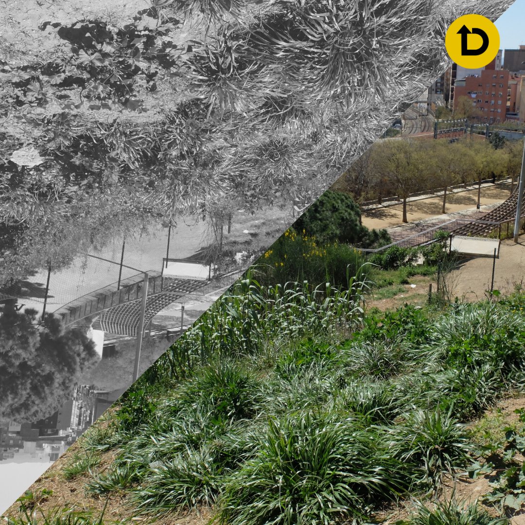 ReactivemD2's tweet photo. 😍NOU ARTICLE! "El Parc gris de La Torrassa" I aquest cop, us fem una proposta🧐🙌Comenta'ns! Què en penses? Necessitem canvis urgents en el D-II!💪
➡️https://t.co/KNdoYMXoxC
#ReactivemD2 #ArticleD2 #parcdelatorrassa #fembarri #femdistricte #collblanclatorrassa #lh https://t.co/YtDfyMD7ZE