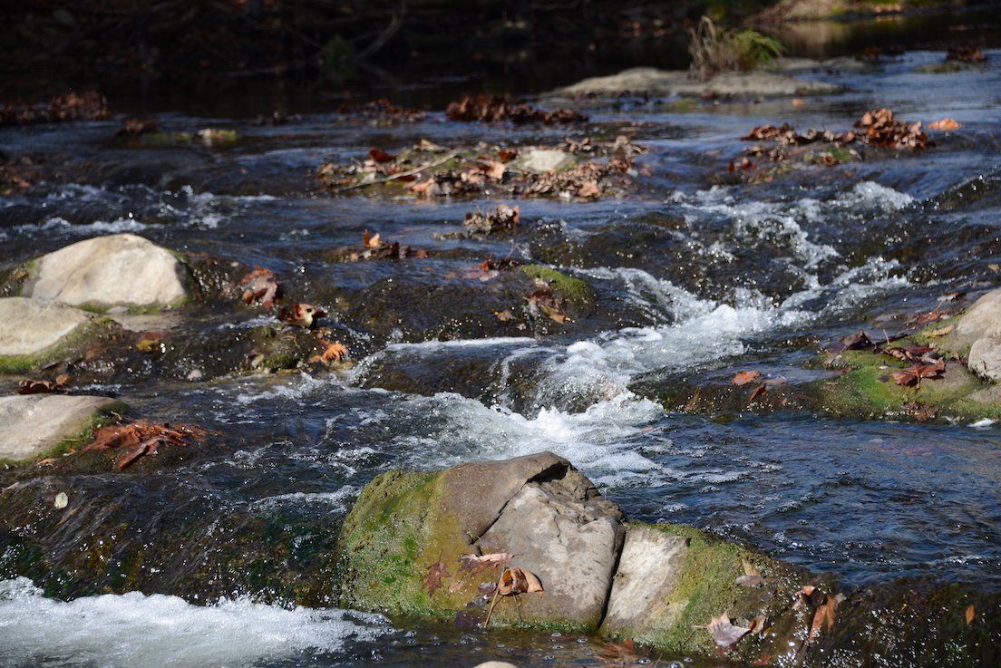 Ctic Ctic Tweet Twitter