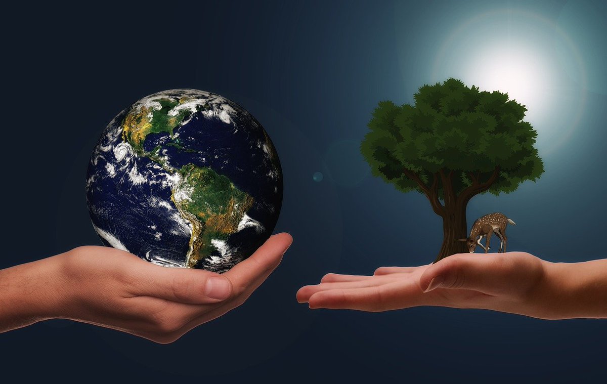 #EarthDay is tomorrow! Perhaps you don’t want to plant a tree or take part in a cleanup project but would like to be a part of the day somehow? Please consider making a donation to #EcoWorks to support program initiatives and continued research. 

ow.ly/NIIz50Euvip