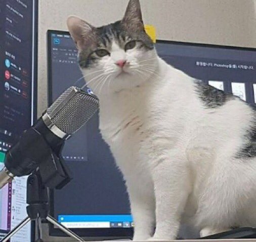 C0RBYNSTIDDIES's tweet image. im thinking maybe               FANTASY
this is just my