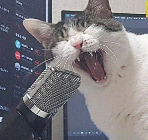 C0RBYNSTIDDIES's tweet image. im thinking maybe               FANTASY
this is just my