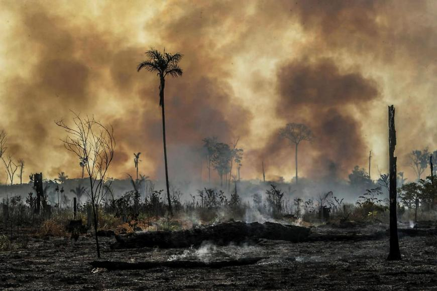 #1 Convene relevant federal and state authorities to elaborate an effective plan to hold accountable the mafias driving deforestation and violence against defenders in the Amazon  https://www.hrw.org/news/2019/09/17/brazil-criminal-networks-target-rainforest-defenders  2/11