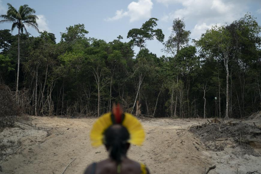 #2 Immediately resume the demarcation of Indigenous territories and revoke rules that threaten Indigenous rights and territories  https://www.hrw.org/news/2021/04/06/brazil-open-letter-human-rights-watch-national-indian-foundation-funai 3/11