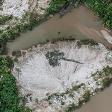 #3 Remove trespassers, including illegal miners, from Munduruku, Yanomami and other Indigenous territories  https://www.hrw.org/news/2021/04/12/brazil-remove-miners-indigenous-amazon-territory 4/11