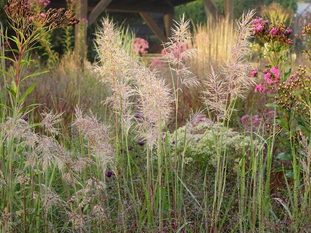 Take a 20 second break and picture yourself in this lush #PietOudolf garden. Feel better? We hope so!

Photo from #fiveseasonsfilm