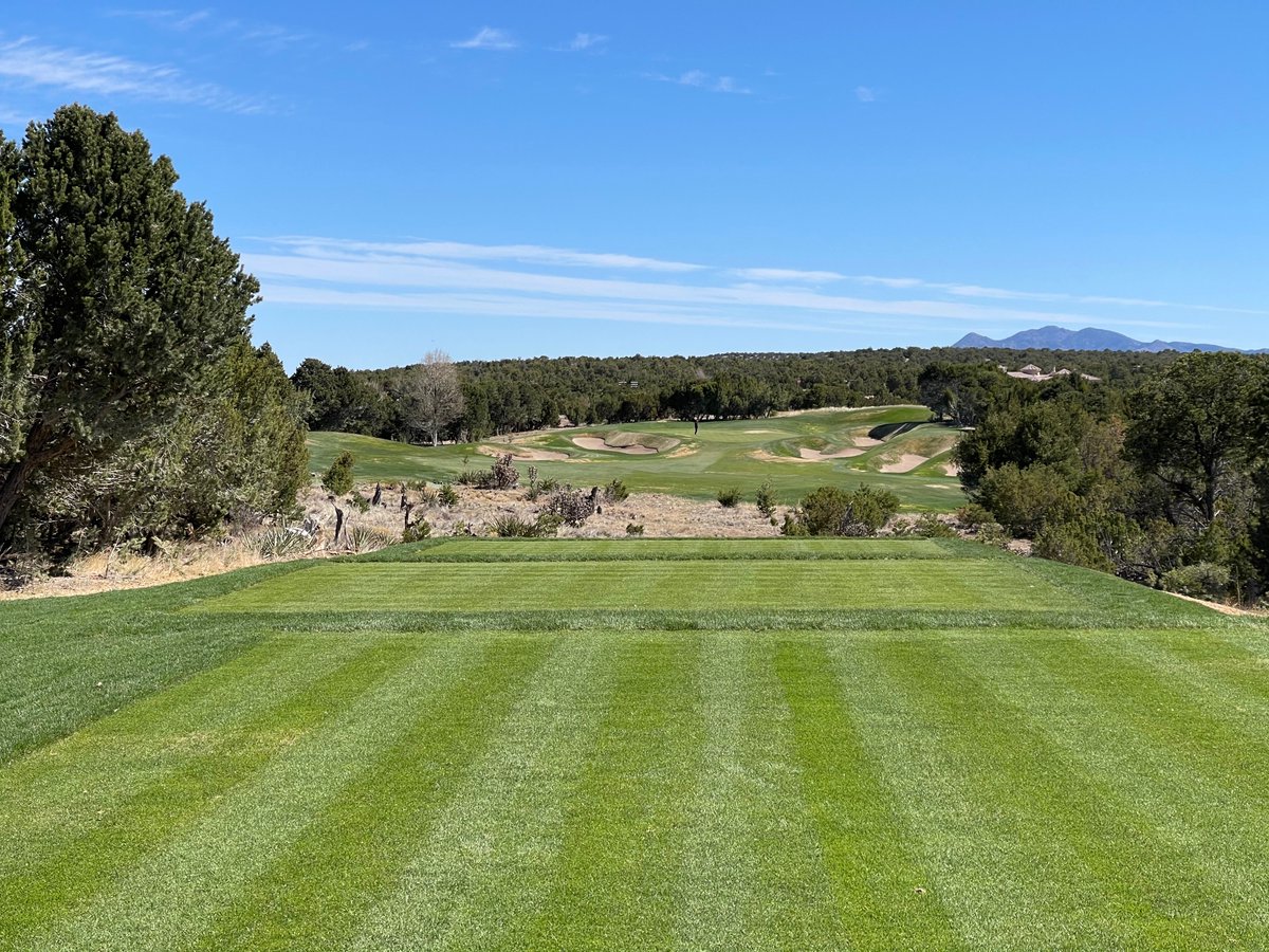 JSchmenk's tweet photo. Grow-in of the front nine tee renovation project at @paakogolf looking great.  Quality workmanship by the team at  @DuininckGolf.  ⛳️🏌️‍♂️🏌️‍♀️
@KGFoundation 
#golf #golfcourserenovation #golfcoursecostruction #golfcoursedesign #paakoridgegolf #sandiapark #bluesky https://t.co/ViPO431s1h