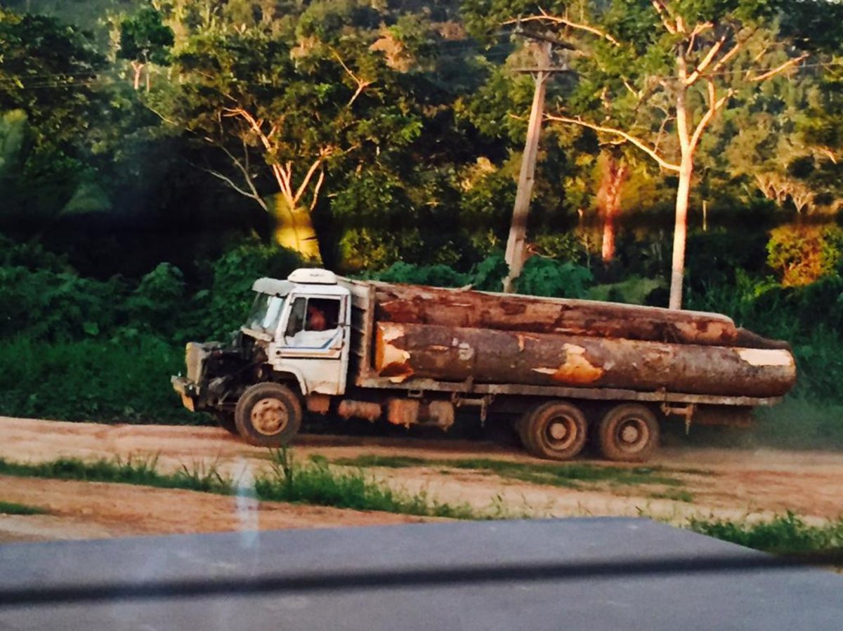 #6 Reverse IBAMA’s dangerous rollback of timber export rules  https://www.reuters.com/article/us-brazil-environment-lumber-exclusive-idUSKBN20R15X7/11