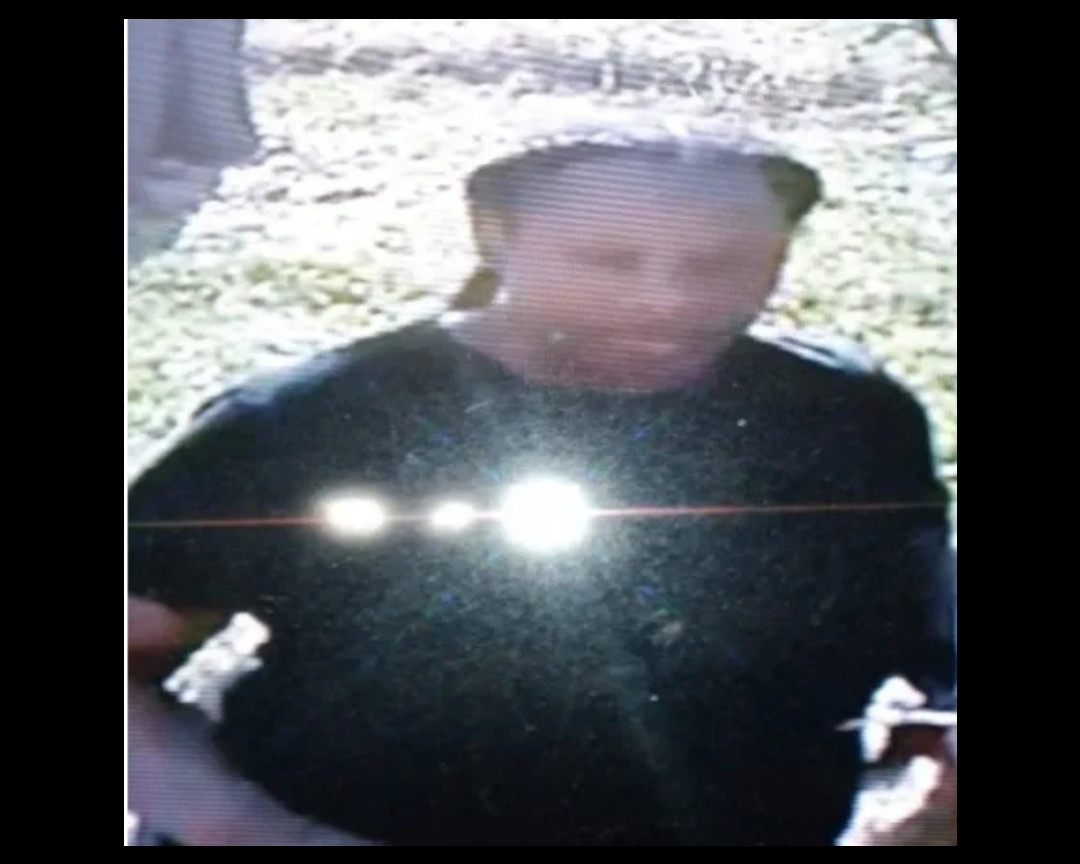 FOX4Terry's tweet photo. #Dallas police asking for help in finding this woman and Benny, the dog they say she stole from his yard. 
@FOX4 https://t.co/K4BcyRo0op