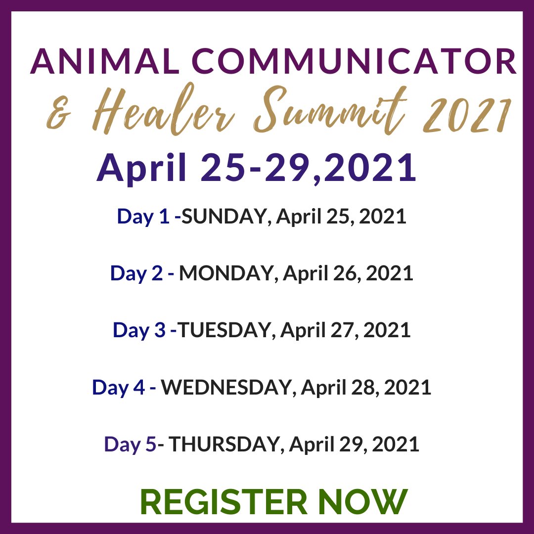 animals_talk's tweet photo. 1/3 I’m so honoured to be one of the speakers at the Third Animal Communication and Healers Summit by Cara Gubbins, PhD!

Five wonderful days with communicators all around the world sharing their wisdom about animal communication. https://t.co/St2qdCN7VO