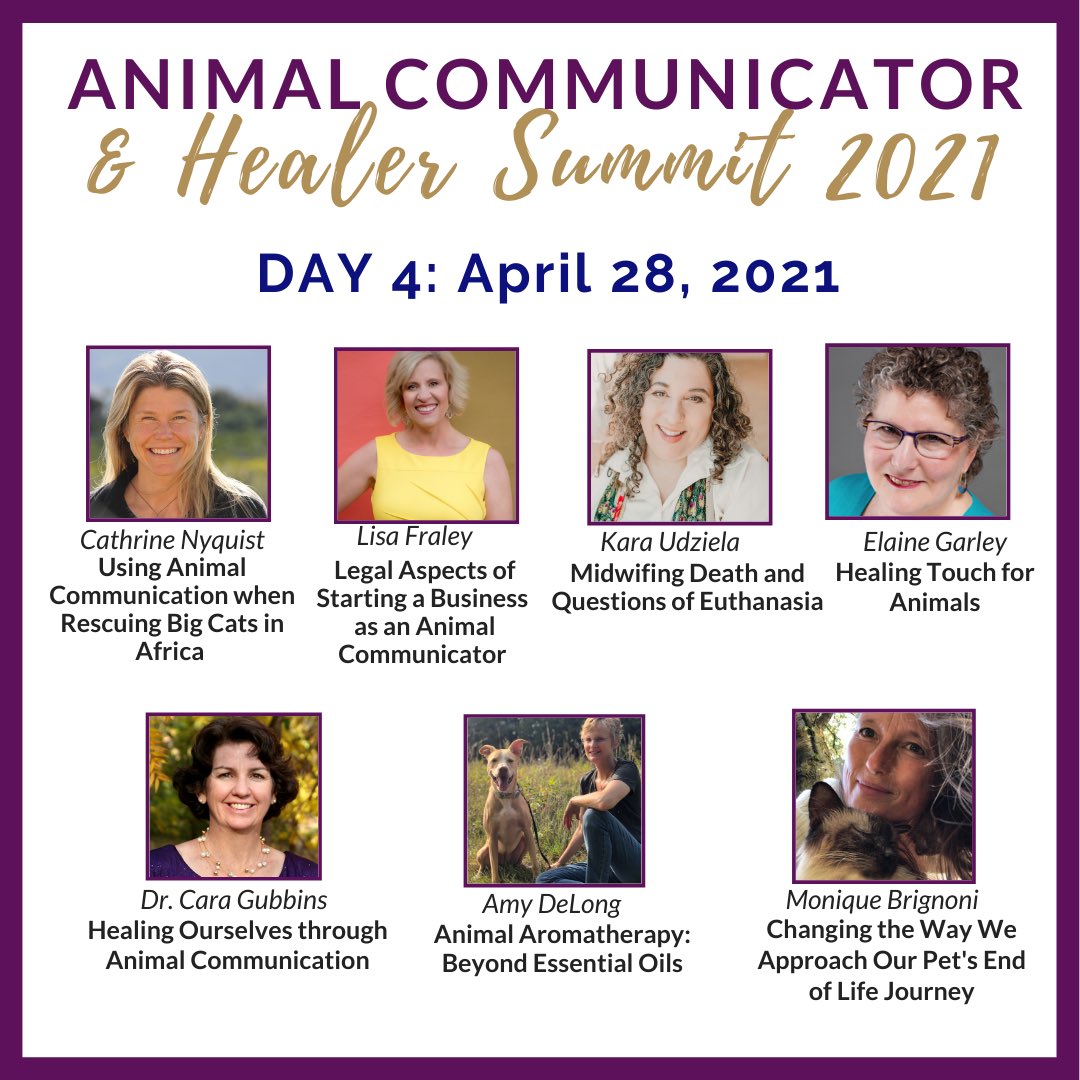 animals_talk's tweet photo. 2/3 It is a humbling feeling to be the only Indian on the panel this year and to share the stage with the Grandmother of Animal Communication herself, Penelope Smith, along with many other experts from the field. https://t.co/aGiH28zyON