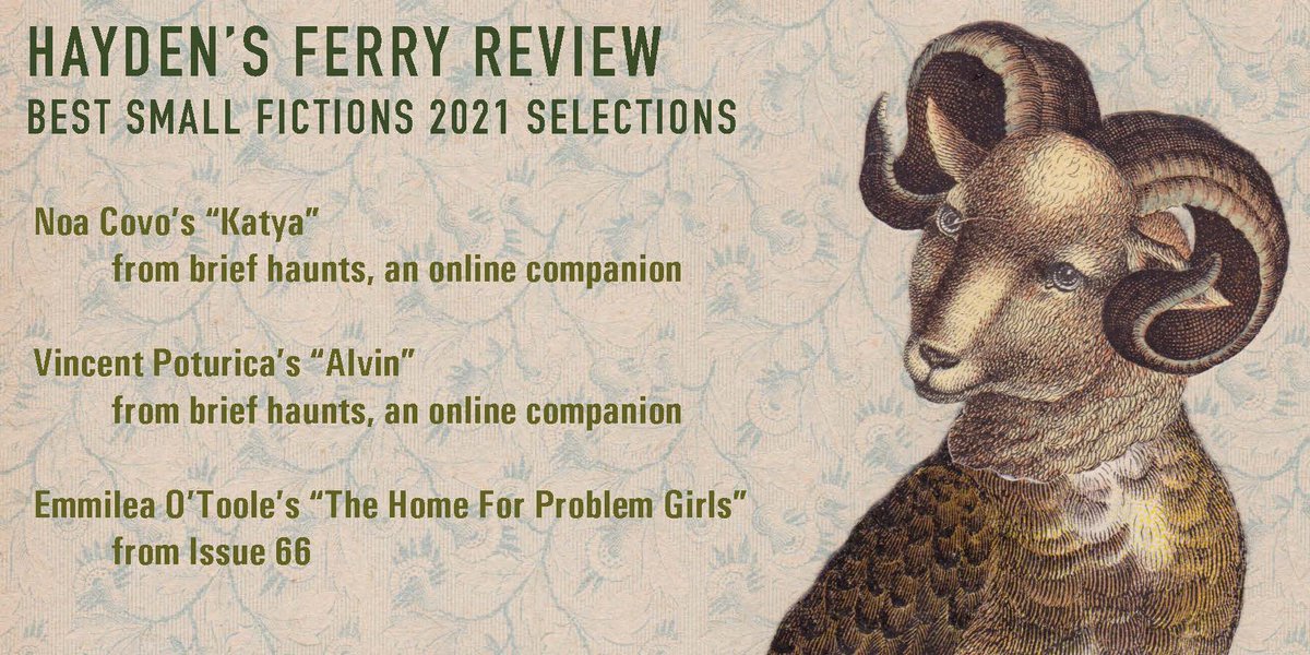 We're thrilled to have three selections in the new issue of @BestSmFictions! Congrats @covo_noa @vpoturica and Emmilea O'Toole! thesonderpress.com/bsf-selections…