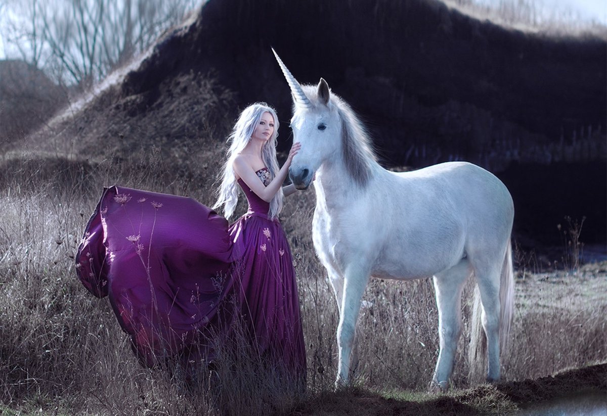 единорог. единорог реальный. единорог живой. фотки настоящего единорога. единорог настоящий.