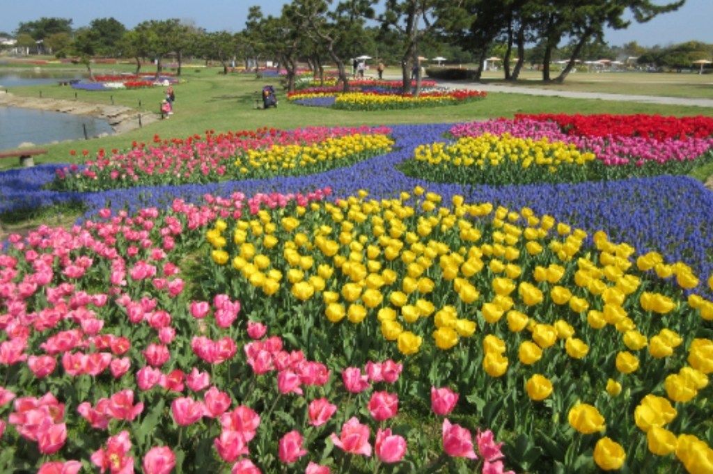 海の中道海浜公園 Uminakapark Twitter 海の中道海浜公園 Uminakapark Twitter