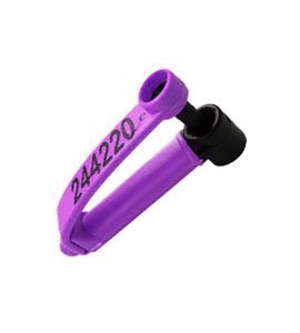 TarnawaCo's tweet photo. Wondering if any sheep producers have been using the EID Zee Tags. If so pros and cons would be great. https://t.co/IE09T1R6Lg