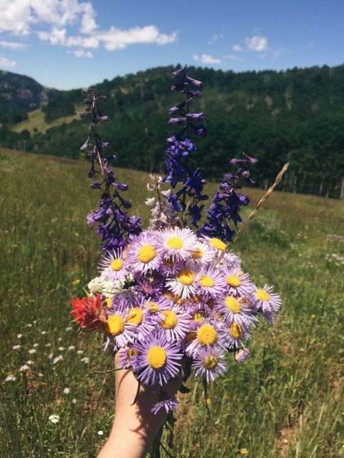 PinterestFlowe1's tweet photo. https://t.co/gm6TI5pWGx