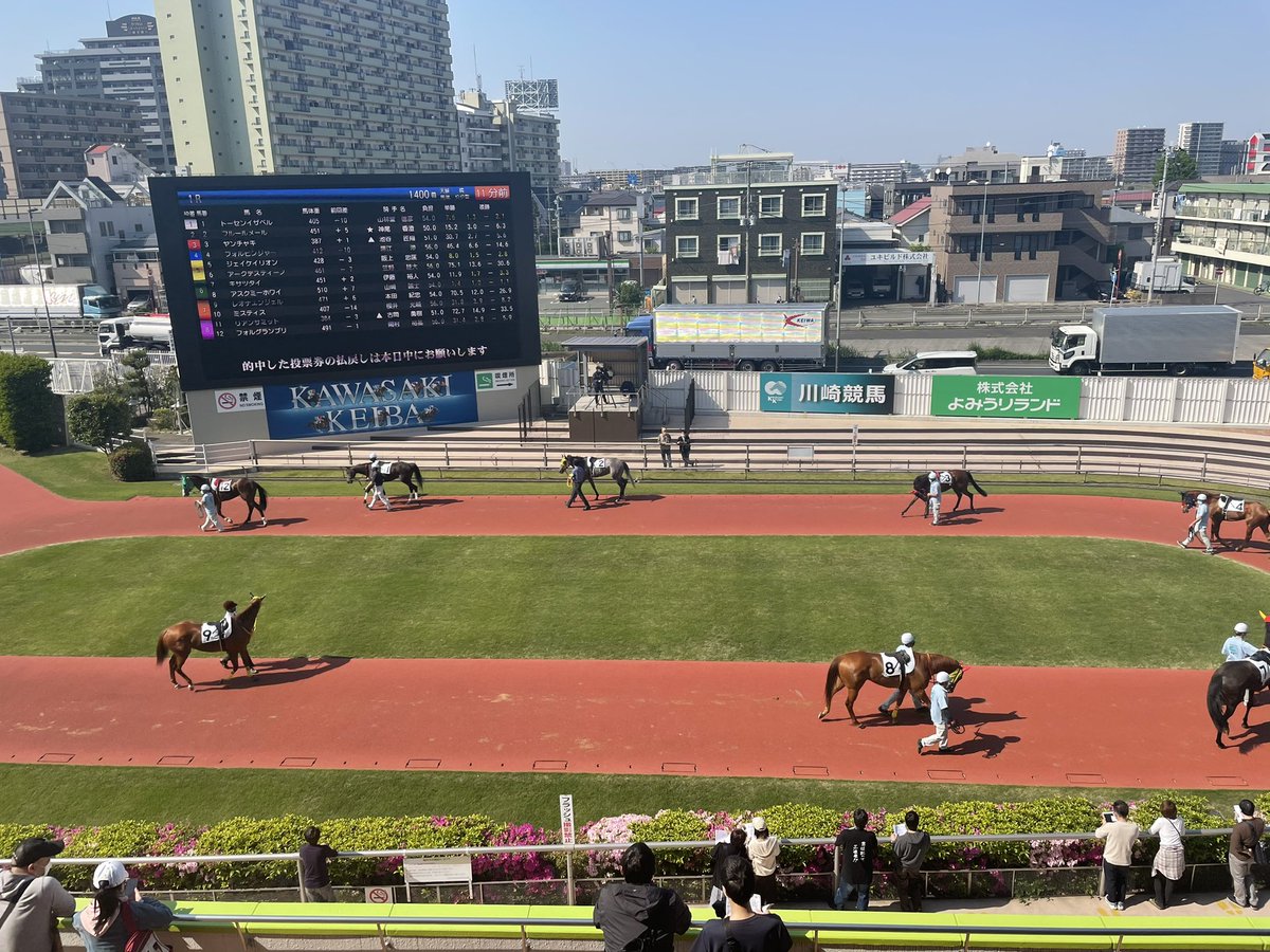 高橋明日香 フリーアナウンサー Asuka Nekosuki Twitter