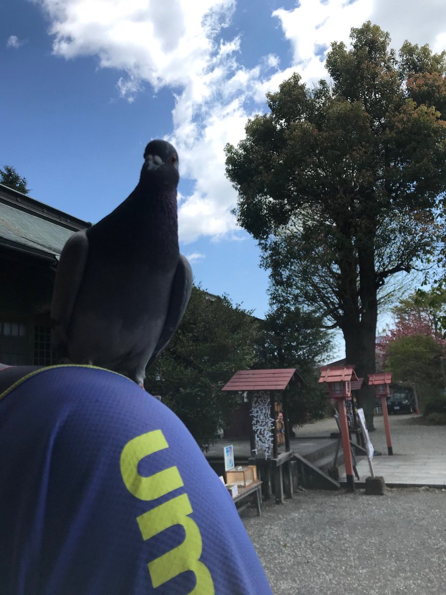 ロブルッチ Traola Twitterren ロブルッチ Traola Twitterren