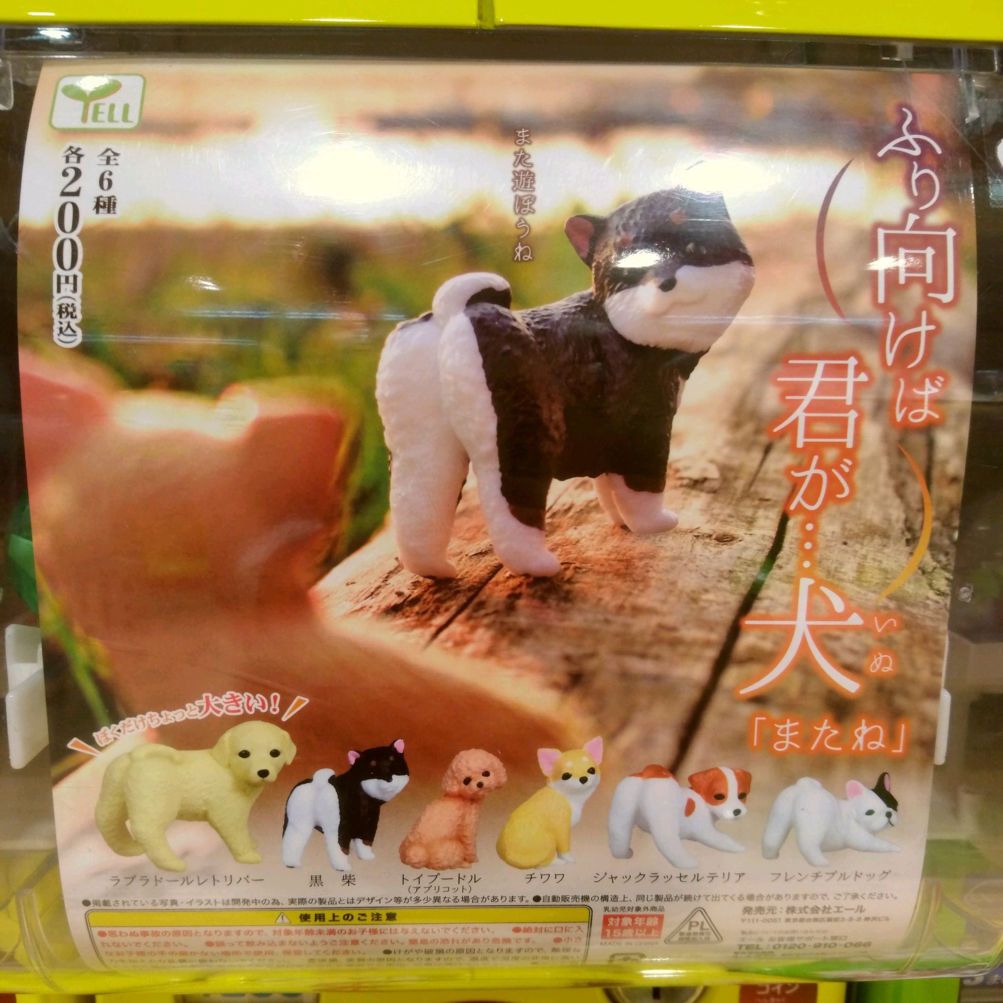 ガチャ王国広島店 4 22 新商品入荷 Yell 振り向けば君が 犬 またね カプセルトイ ガチャガチャ 広島 Hiroshima 本通 ガチャ王国 いぬ 犬 柴犬 トイプードル チワワ ガチャ王国広島店 4 22 新商品入荷 Yell 振り向けば君が 犬 またね カプセルトイ ガチャガチャ 広島 Hiroshima 本通 ガチャ王国 いぬ 犬 柴犬 トイプードル チワワ