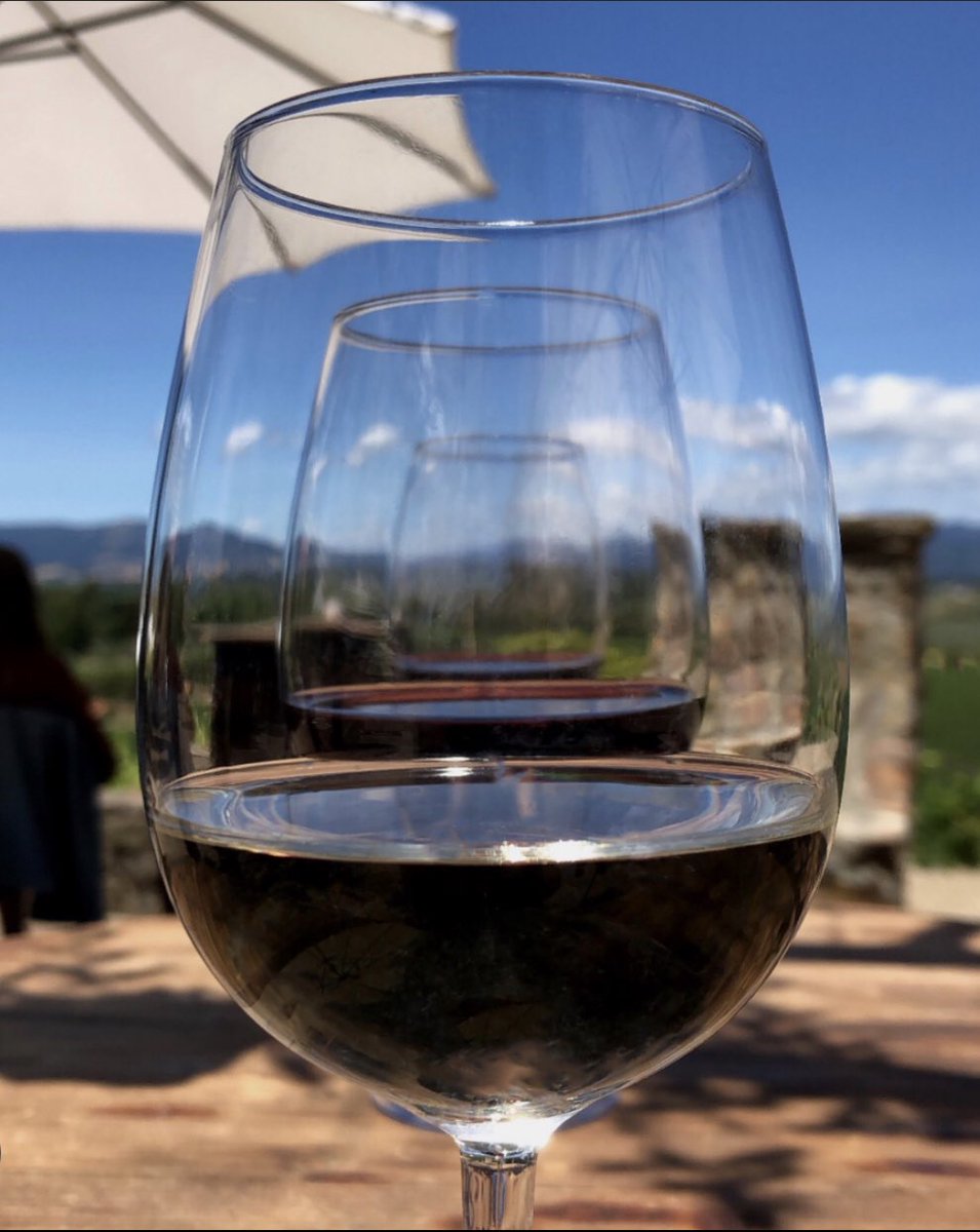 Tough choices... Cabernet, more Cabernet, or Cabernet? 🤔 Happy Wine Wednesday friends! #invinumveritas #illdrinktothat #WineWednesday #winetunnel