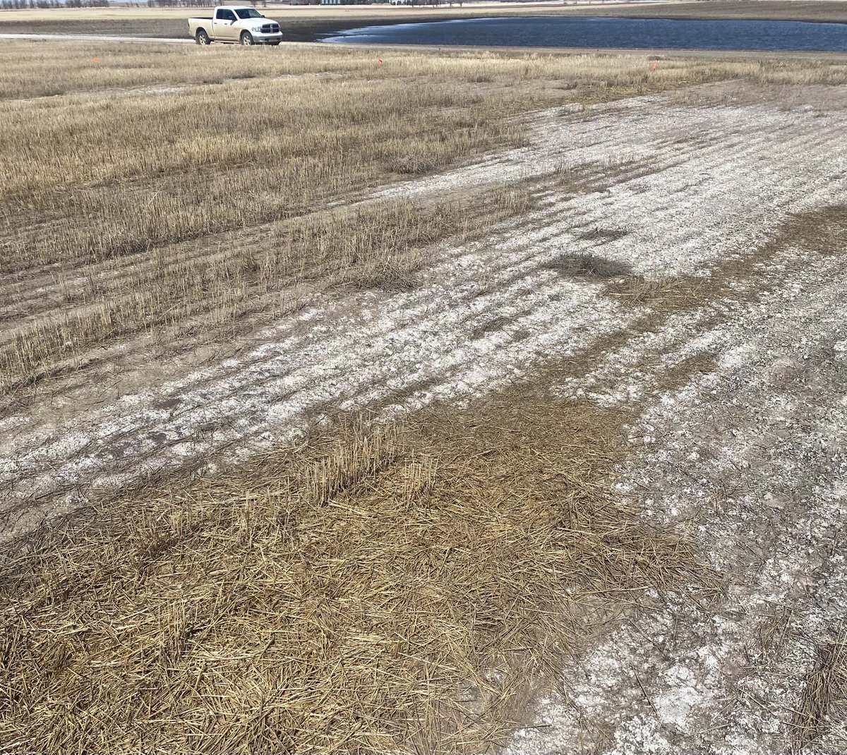 Seed is expensive.  Fertilizer is expensive.  Trying to grow annual crops on marginal land is double expensive. Call ⁦<a href="/ProvenSeed/">Proven Seed</a>⁩ and buy some forage seed. Sometimes less is more. #salinity #thatsnotsnow