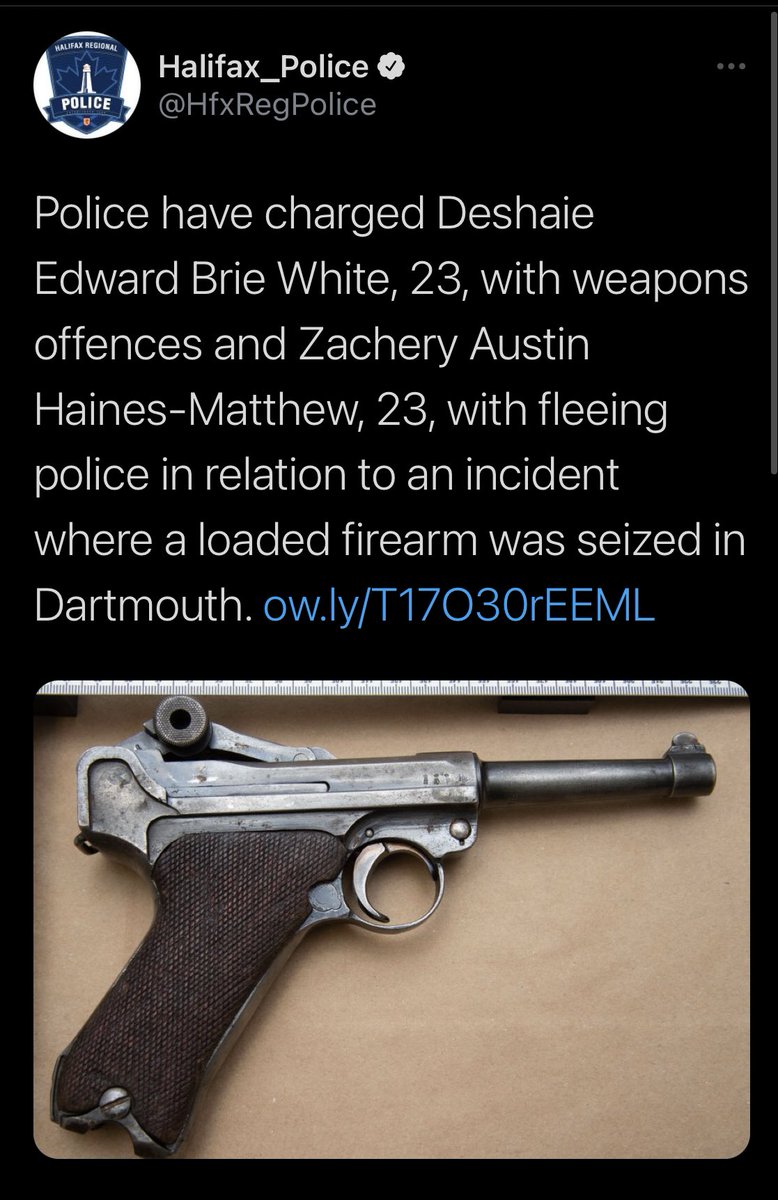 Alexander Quon tweet media